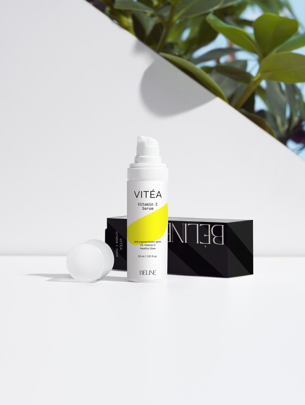 Vitéa — Vitalidad y esencia